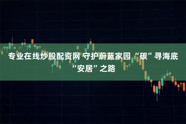 专业在线炒股配资网 守护蔚蓝家园 “碳”寻海底“安居”之路